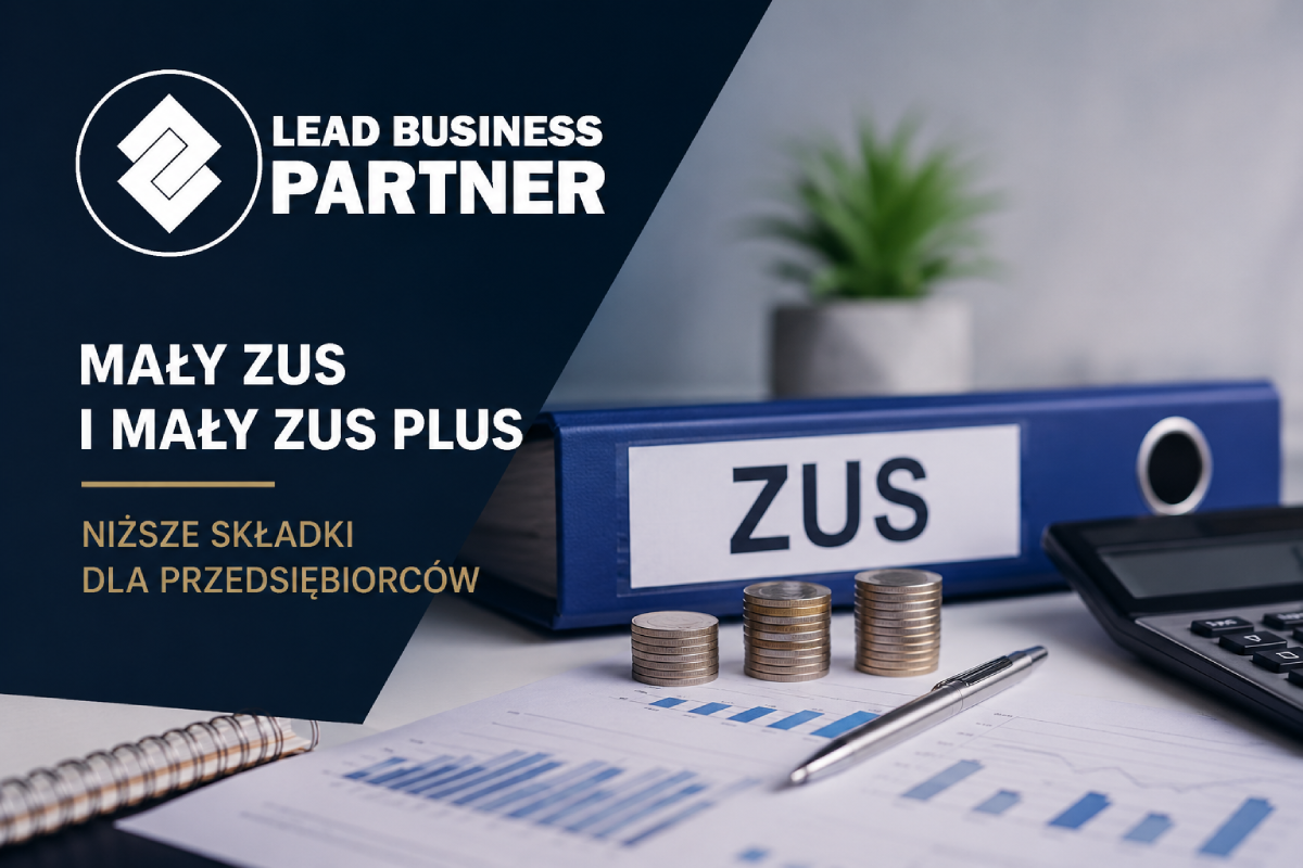 ZUS plus, Mały zus plus